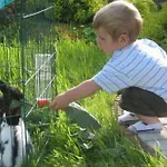 Brollerhof Neustift im Stubaital