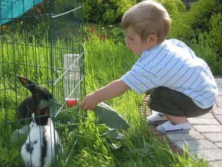 Brollerhof ノイシュティフト・イム・シュトゥーバイタール